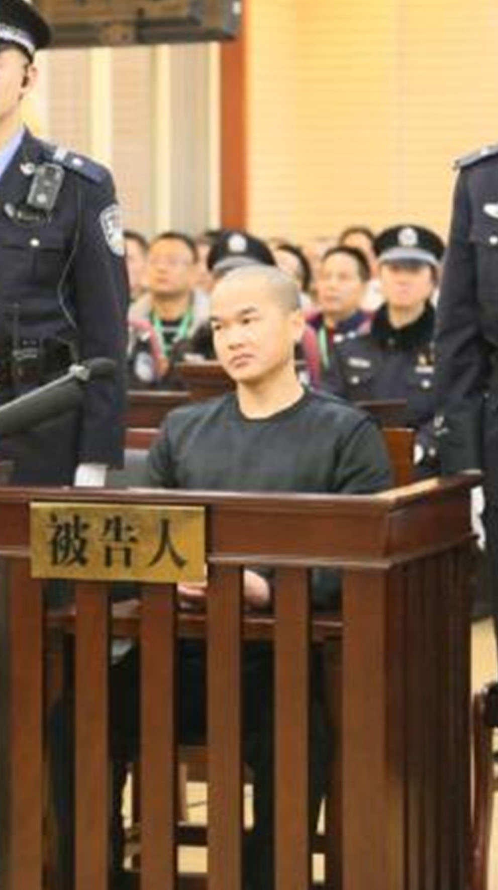 张扣扣被执行死刑 40秒回顾其故意杀人案始末