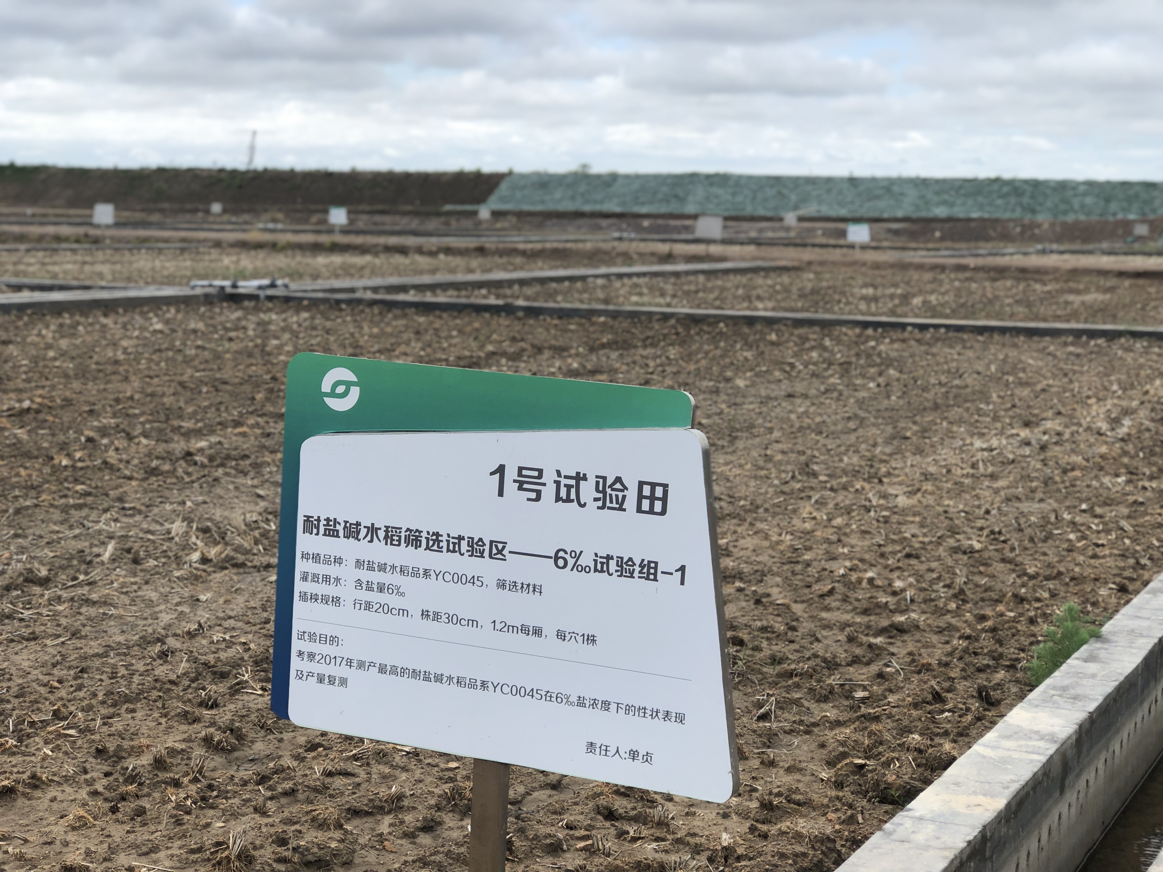 试验田牌子上的6,是指用含盐6‰的咸水直接灌溉.