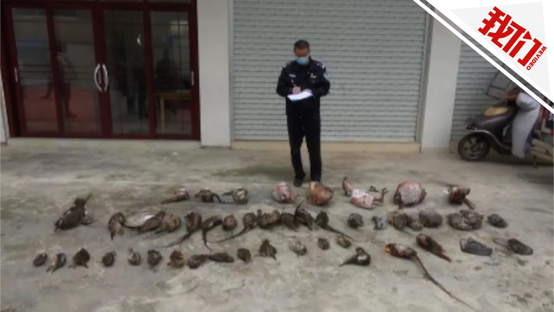 贵州森警发现52只动物尸体 疑有国家二级保护动物
