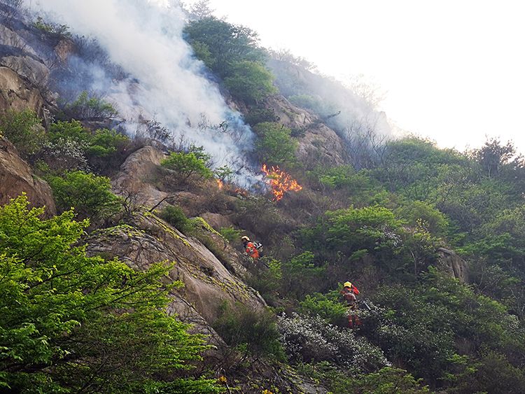 组图直击青岛小珠山救火一线