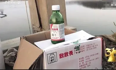 三匹马下海参与救人后两马死亡,第三匹马出现咳嗽症状正接受治疗 8