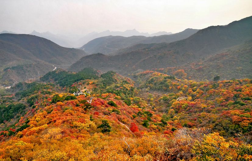 到此一游|搜索"北京最美秋天",去看灿烂红叶与浩瀚芦苇荡