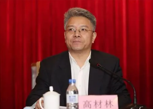 吉林省政府副秘书长高材林,被查