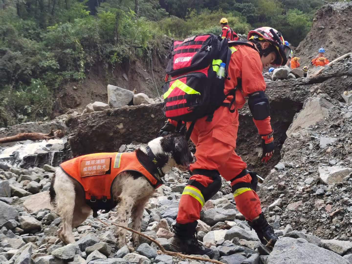 四川天全县泥石流致10余人失联,救援队已救出4人其中1人死亡