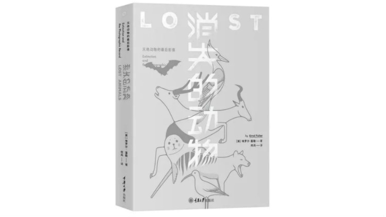 想象一下,当你看到一张照片里的动物活灵活现,却被告知,它是这一物种在地球上留下的最后影像,是不是有一种特别的触动?在最近出版的中文版《消失的动物:灭绝动物的最后影像》一书中,它们画面中的主角已经和自己所有的同胞一起消逝在了历史当中,但照片成为这些生灵曾经来到过这个世界的物证,拉近了我们与逝者的距离。 最后的石南鸡,爱慕者为它取名为本兴旺。阿尔弗雷德O.