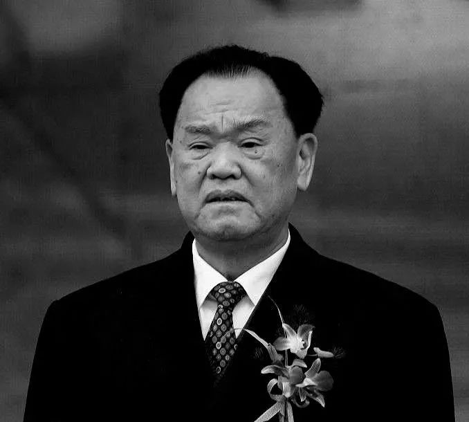 全国政协原副主席毛致用逝世