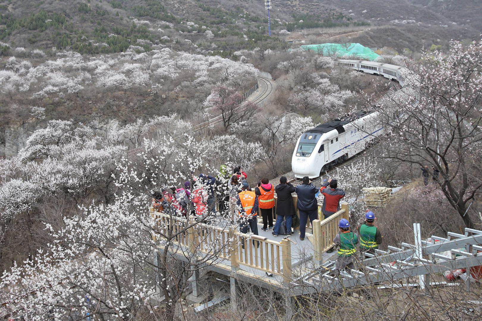 居庸关花海栈道下月开放来这看开往春天的列车