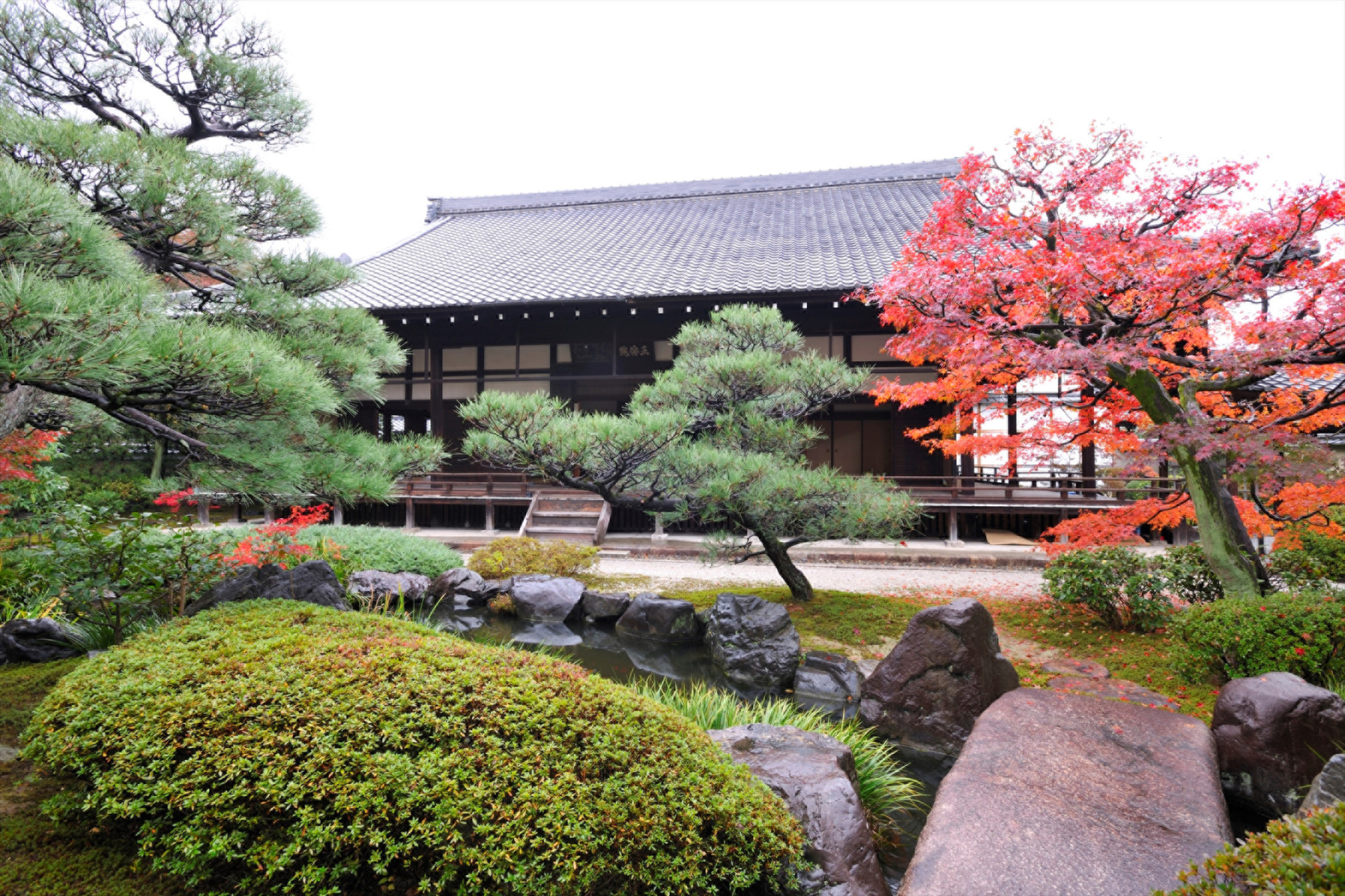 东山山麓赏石匠,住进有800年庭院的别墅花历史红叶图片