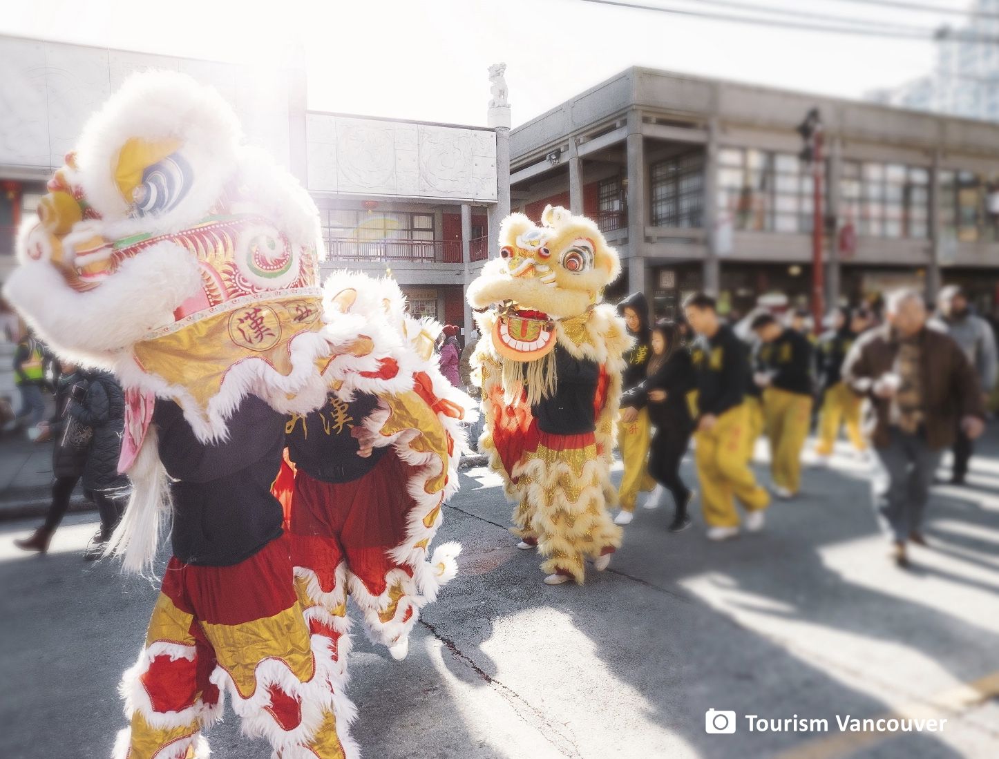 1月26日在温哥华唐人街举行的温哥华春节联欢活动热闹非凡,不容错过.