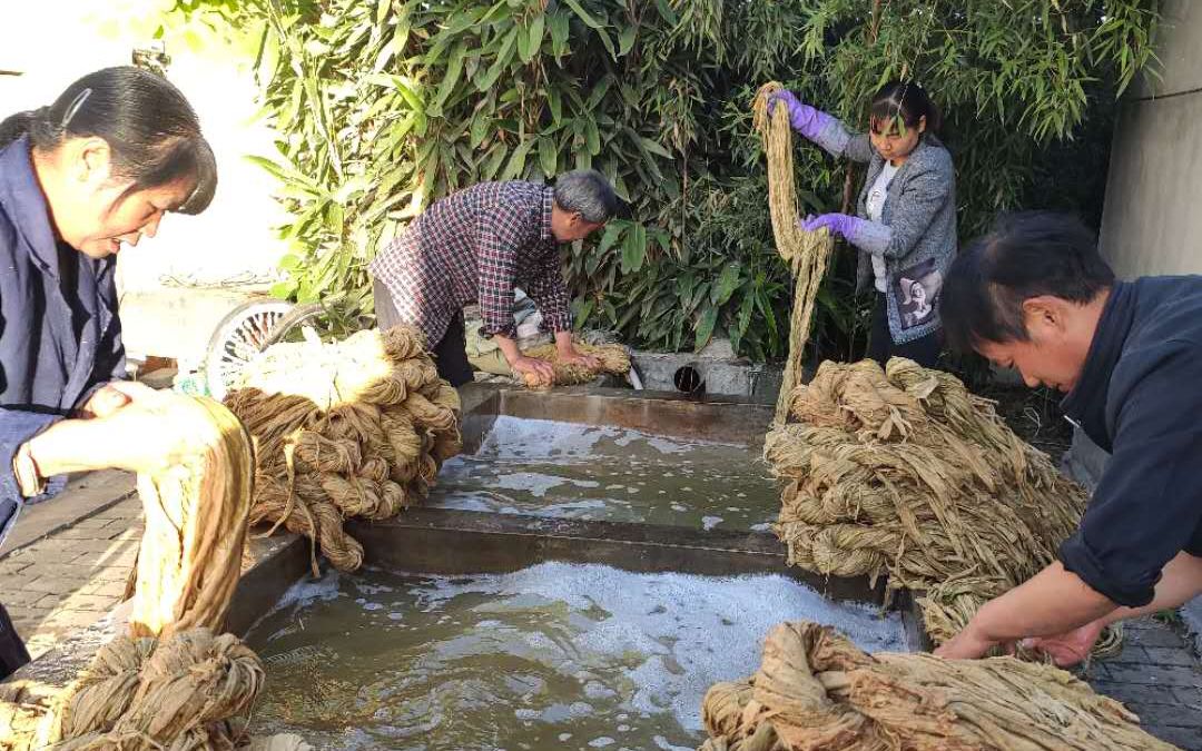 陕西蔡侯纸传人用熊猫粪便做纸能作画