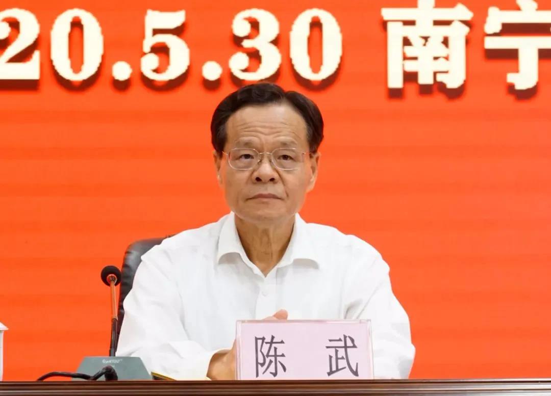 蓝天立任广西壮族自治区党委副书记,陈武不再担任