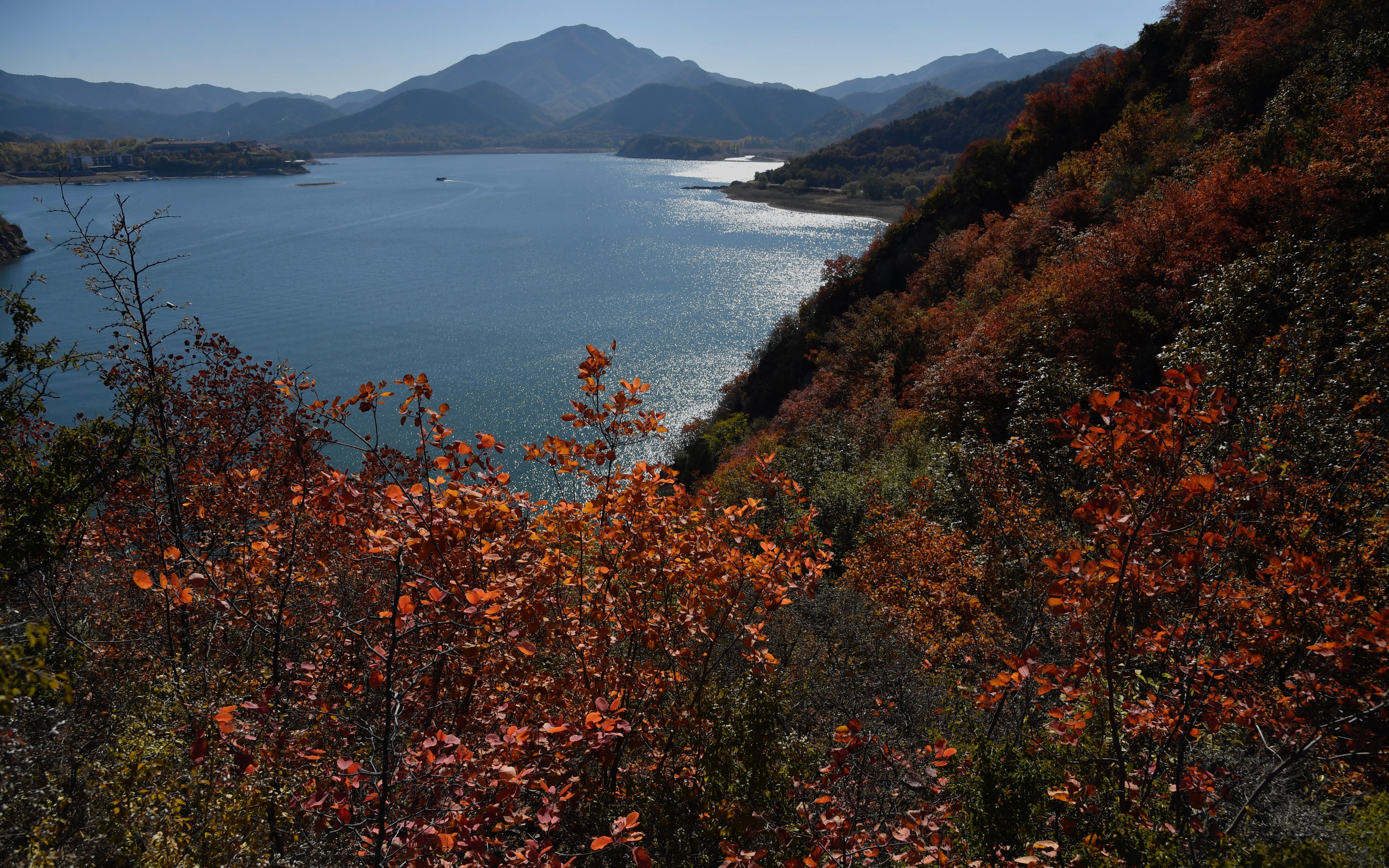京郊红叶进入最佳观赏期平谷金海湖红叶节开幕
