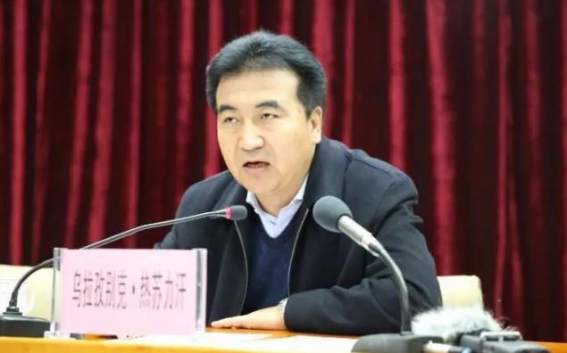 今年1月由新疆维吾尔自治区生态环境厅厅长,党组副书记调任青海省商务