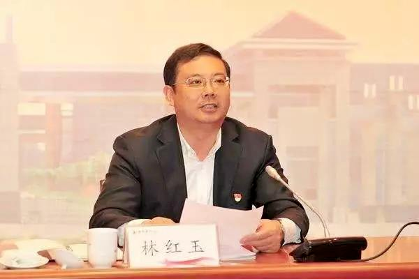 任济宁市长8个月林红玉职务拟调整