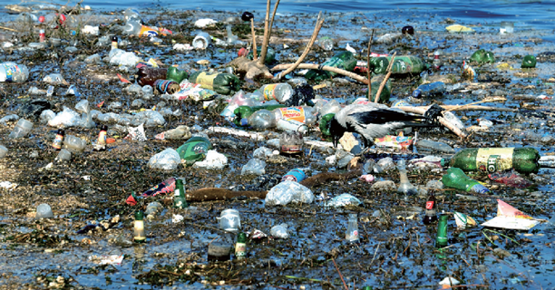 被塑料垃圾污染的河流.