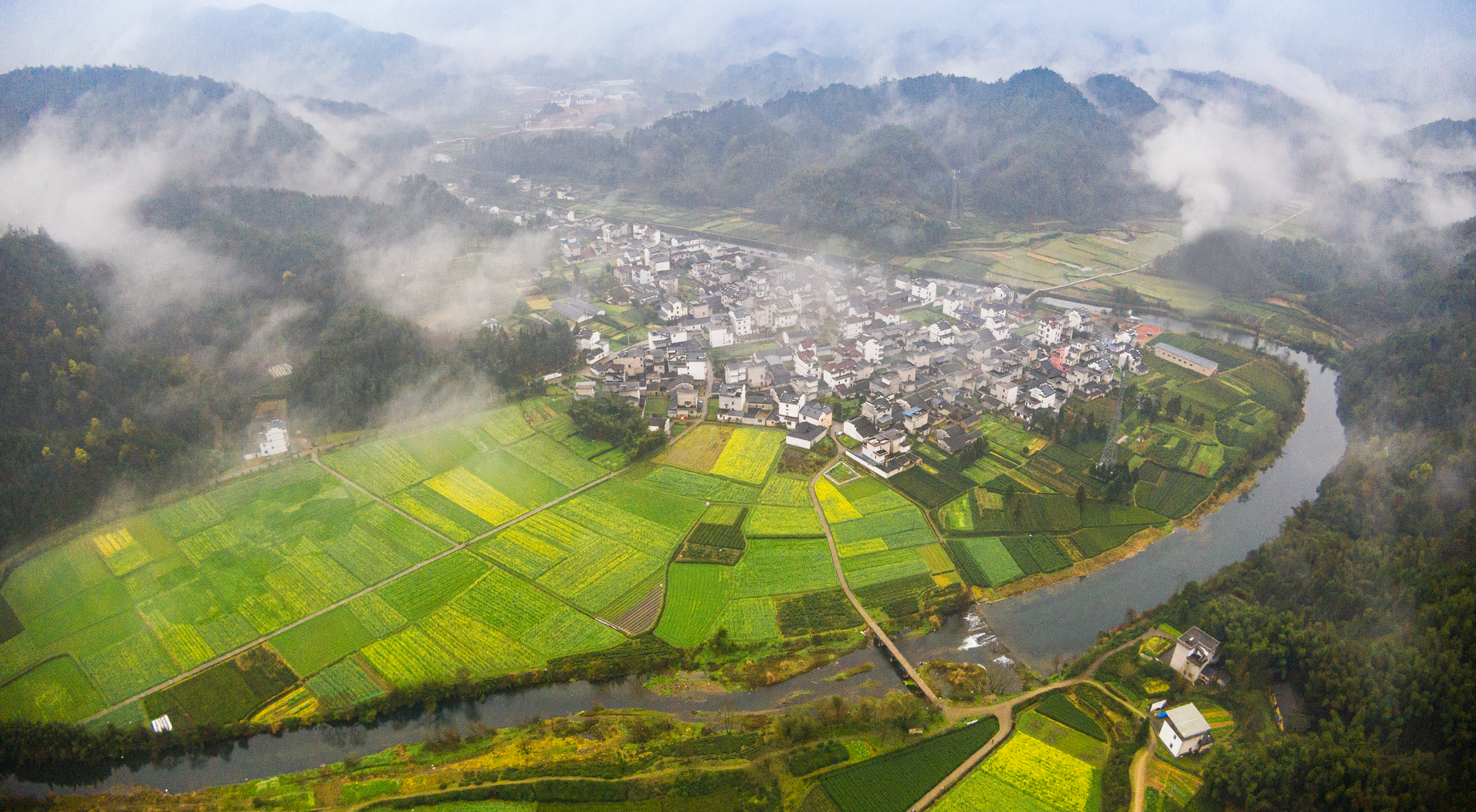 一村一景 安徽休宁6.6万亩油菜花期正盛