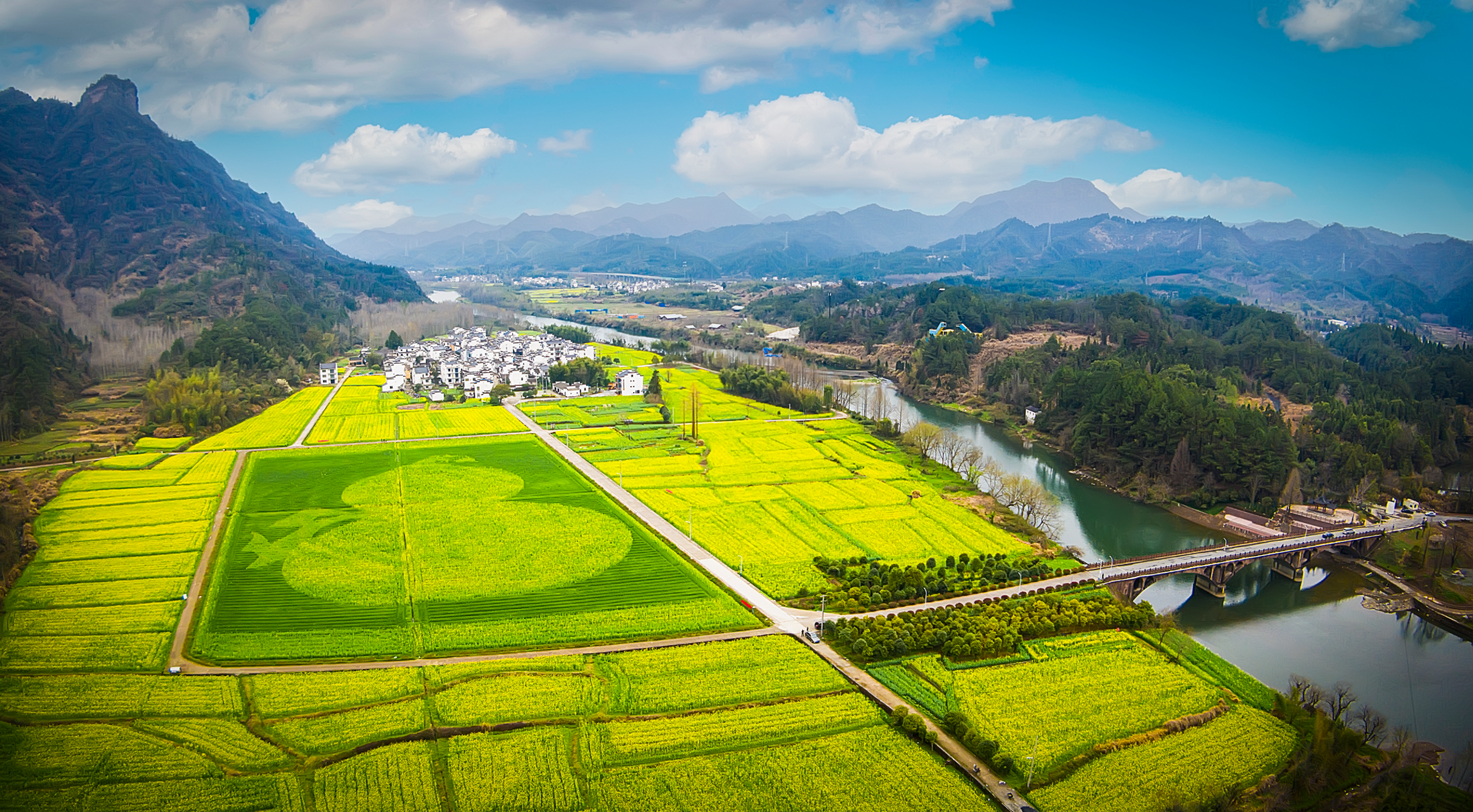 一村一景 安徽休宁6.6万亩油菜花期正盛