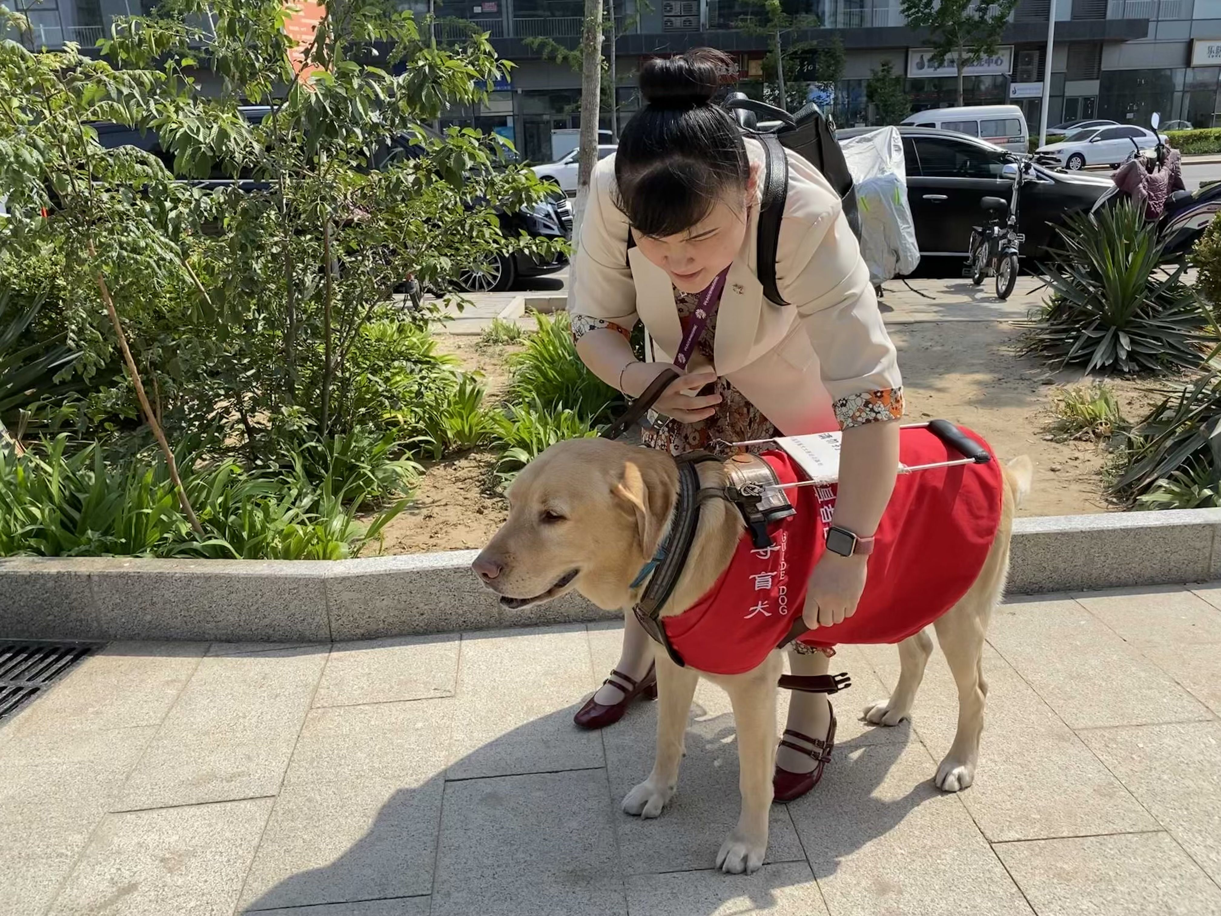 盲人周彤和导盲犬小杰的出行路:从狗不能进到愿与导盲犬乘一辆车