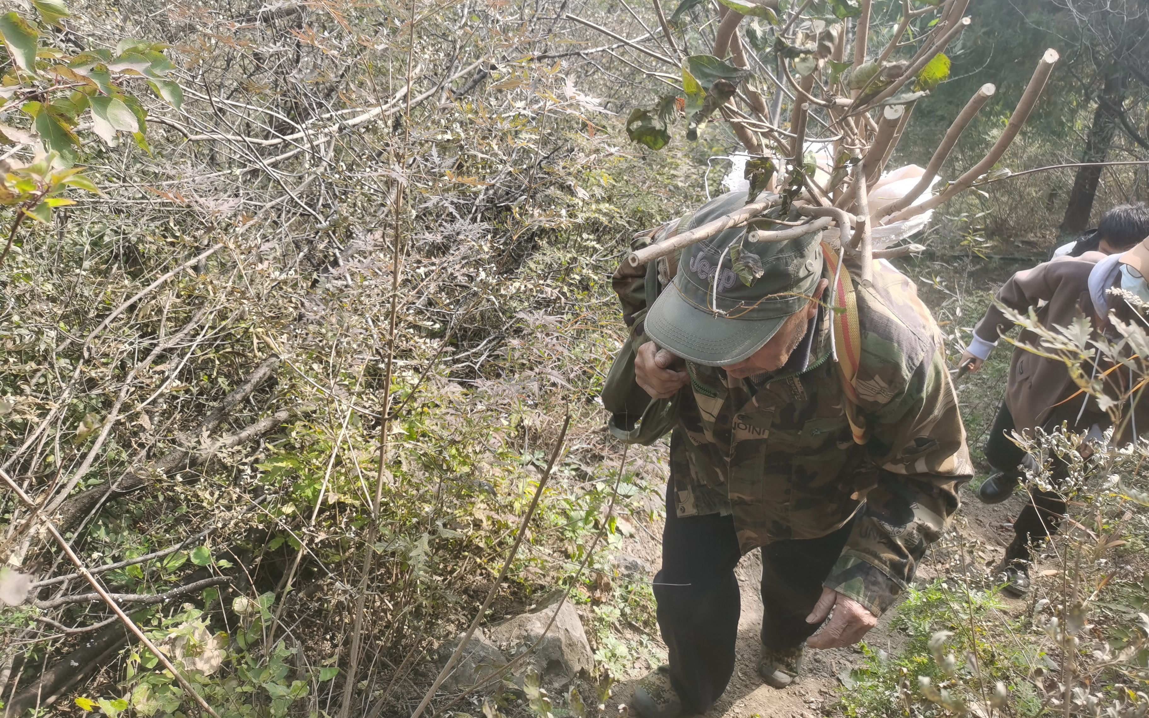 京西深山种树人背着树苗爬坡最远要走五六公里山路
