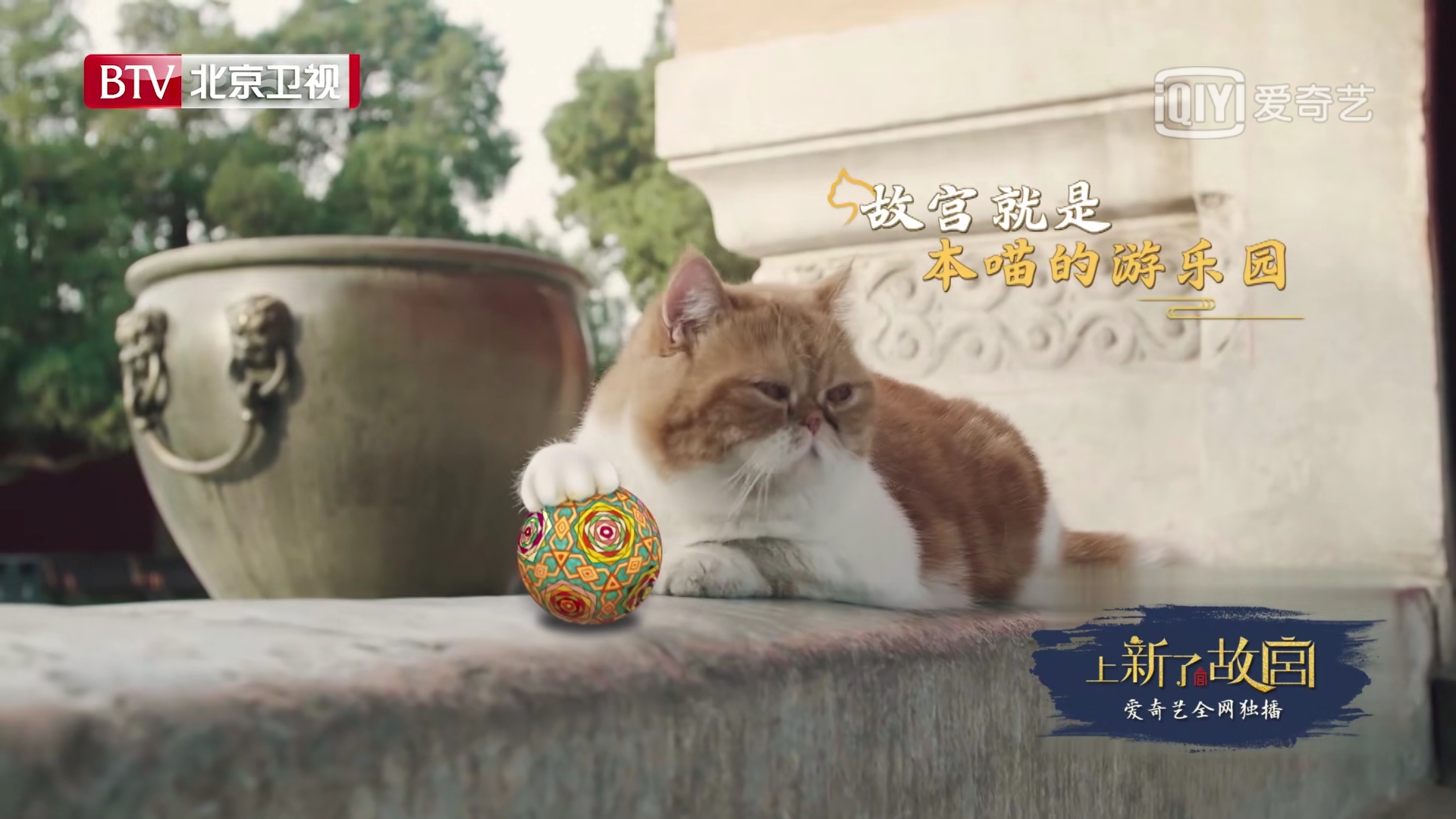 《上新了·故宫》的神猫竟是王者荣耀鲁班配音