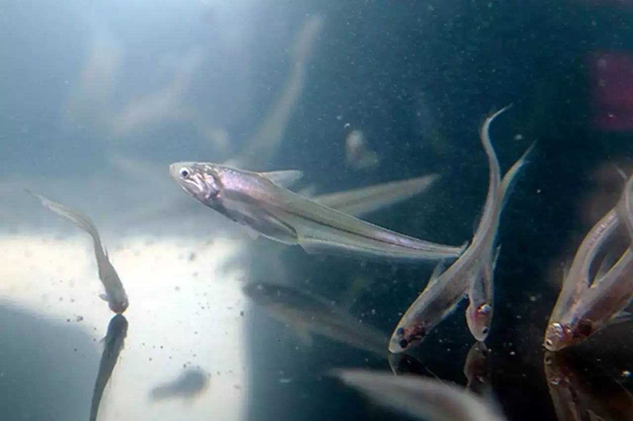 新京报 - 好新闻,无止境