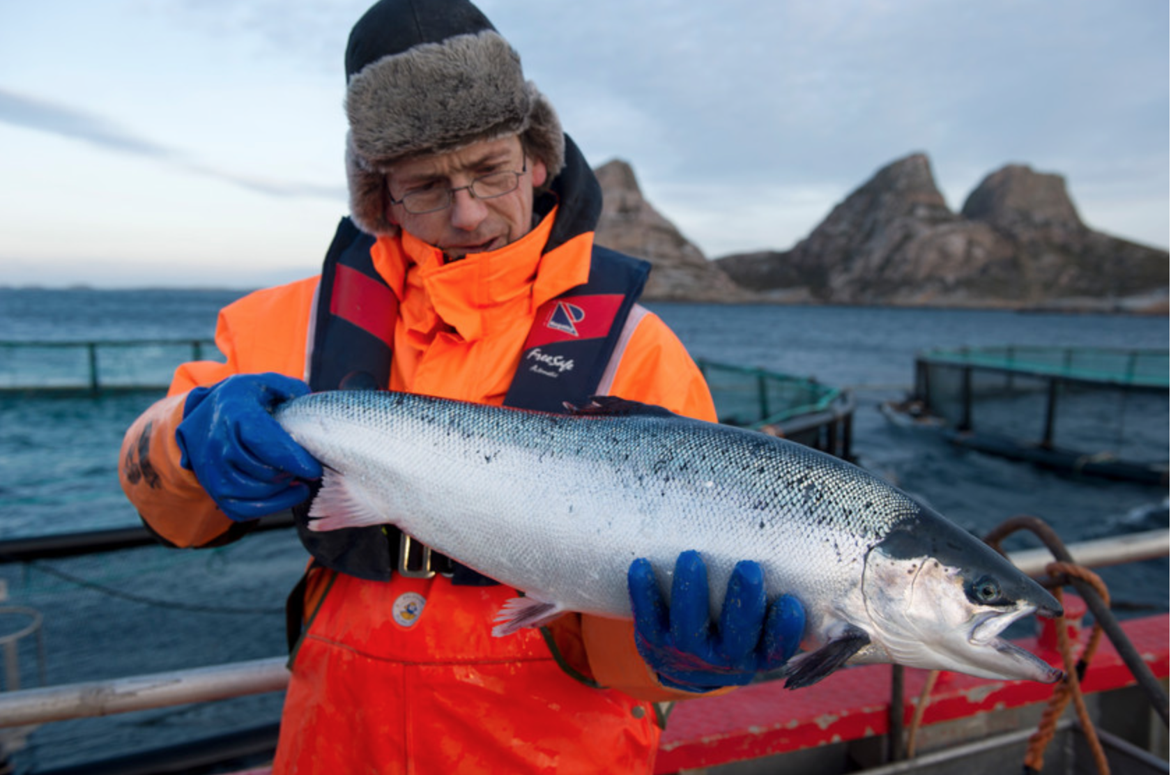 2018挪威海产对华出口额约30亿元,北极鳕鱼排第一