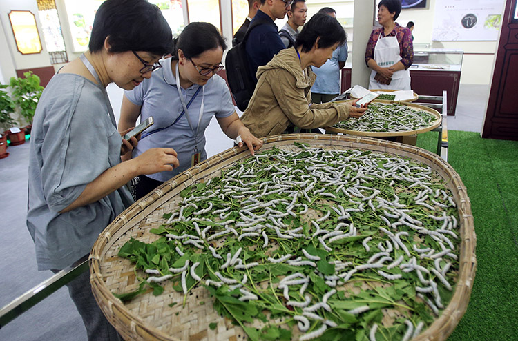 中国桑蚕丝绸文化展在农展馆开幕 |组图