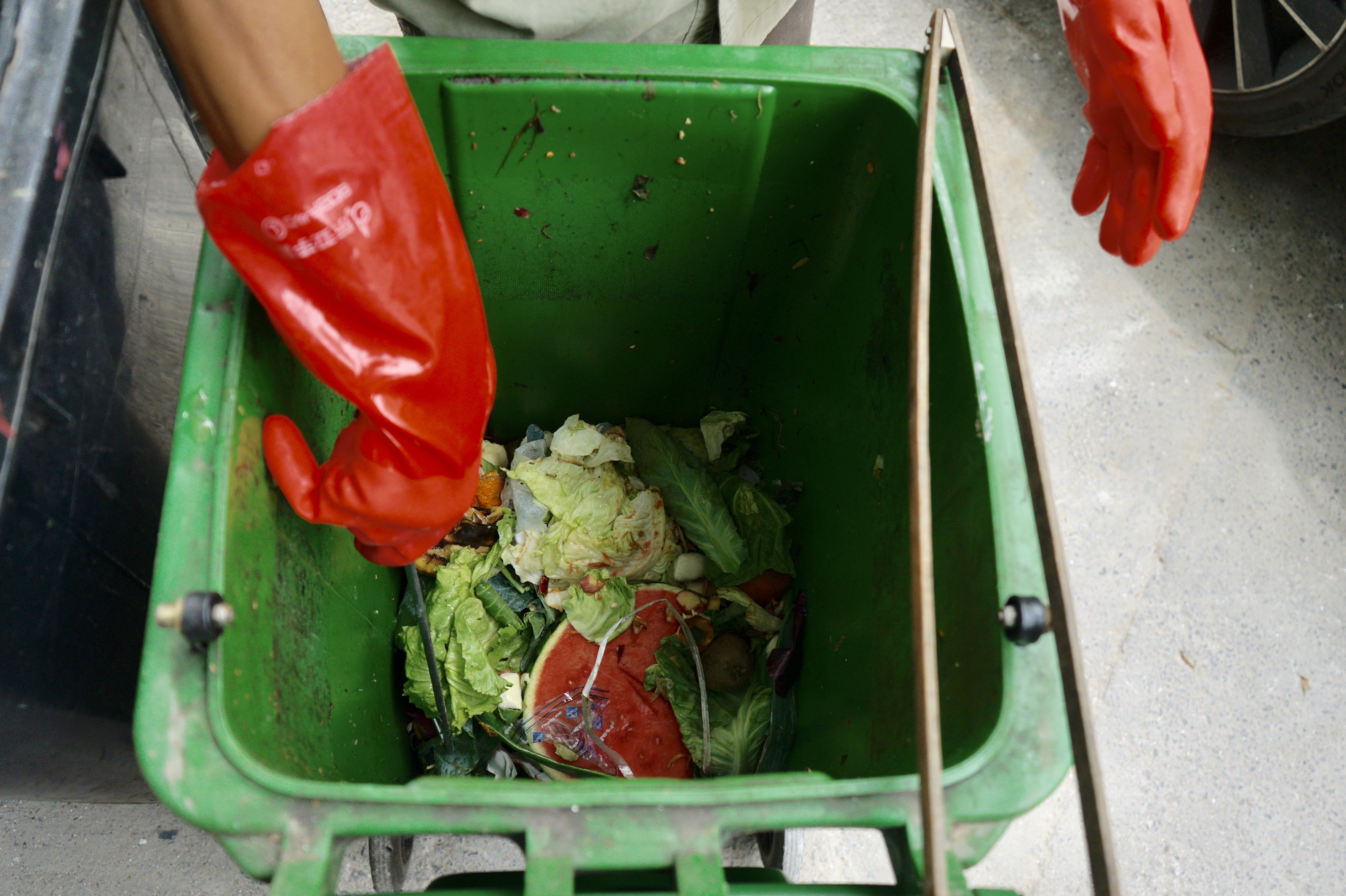 6月6日东花市街道一小区内,环卫工人在收厨余垃圾时对垃圾进行筛选.