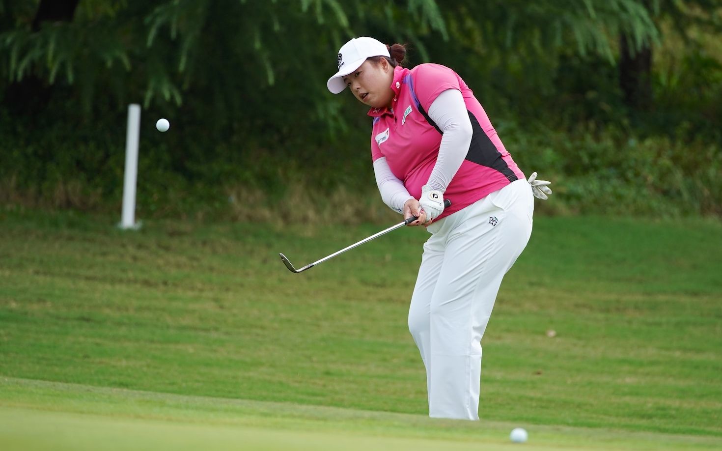 冯珊珊本赛季为何状态回勇?她换了一套新球杆