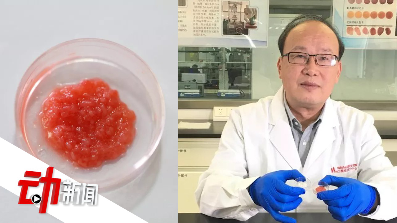 【中国第一块人造培养肉来了:培养干细胞20天产出5克】