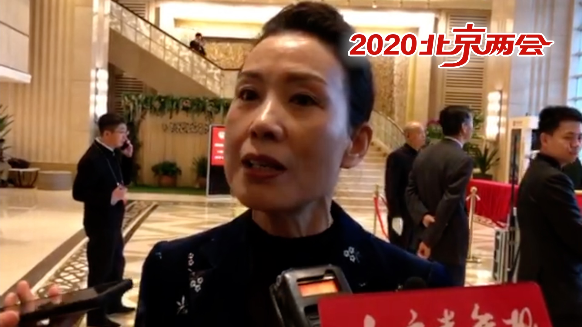 委员张凤敏关注“黑摩的”问题，建议推动微型公交试点