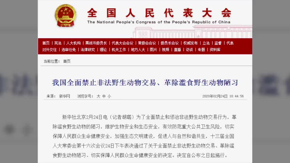 野味猎人讲述内幕 一天捕猎几十只 野生动物越来越少
