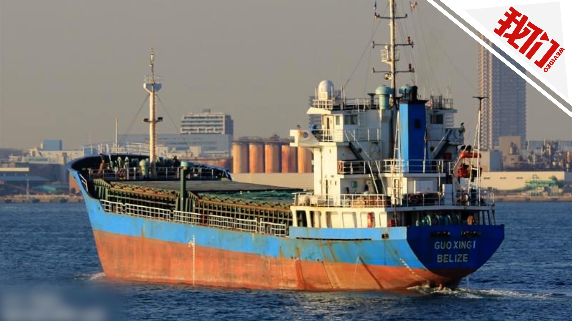 国际丨日本沉没货船第三名船员获救:落水后抓住牛才得以生还