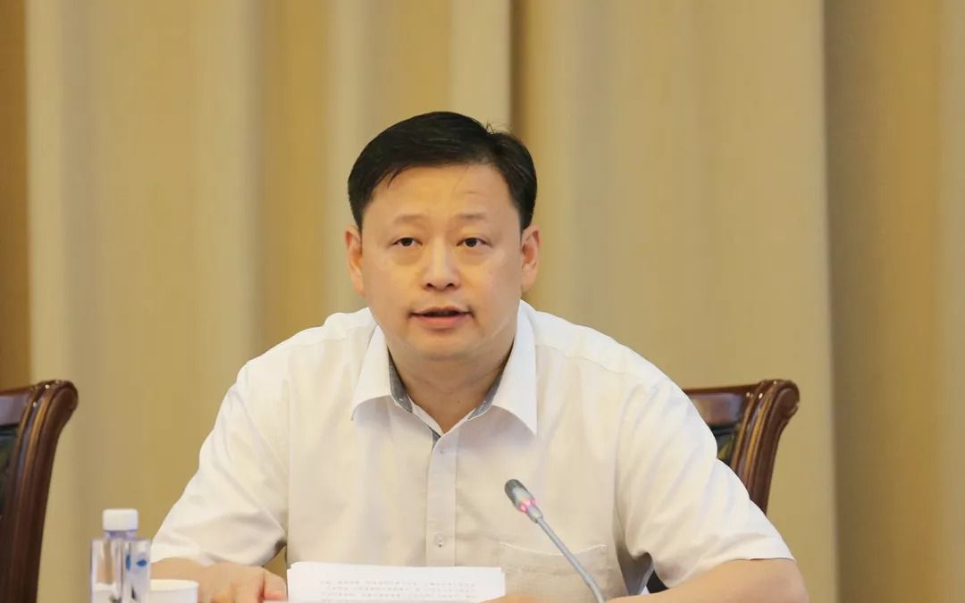 陈诗一任安徽大学党委副书记,常务副校长