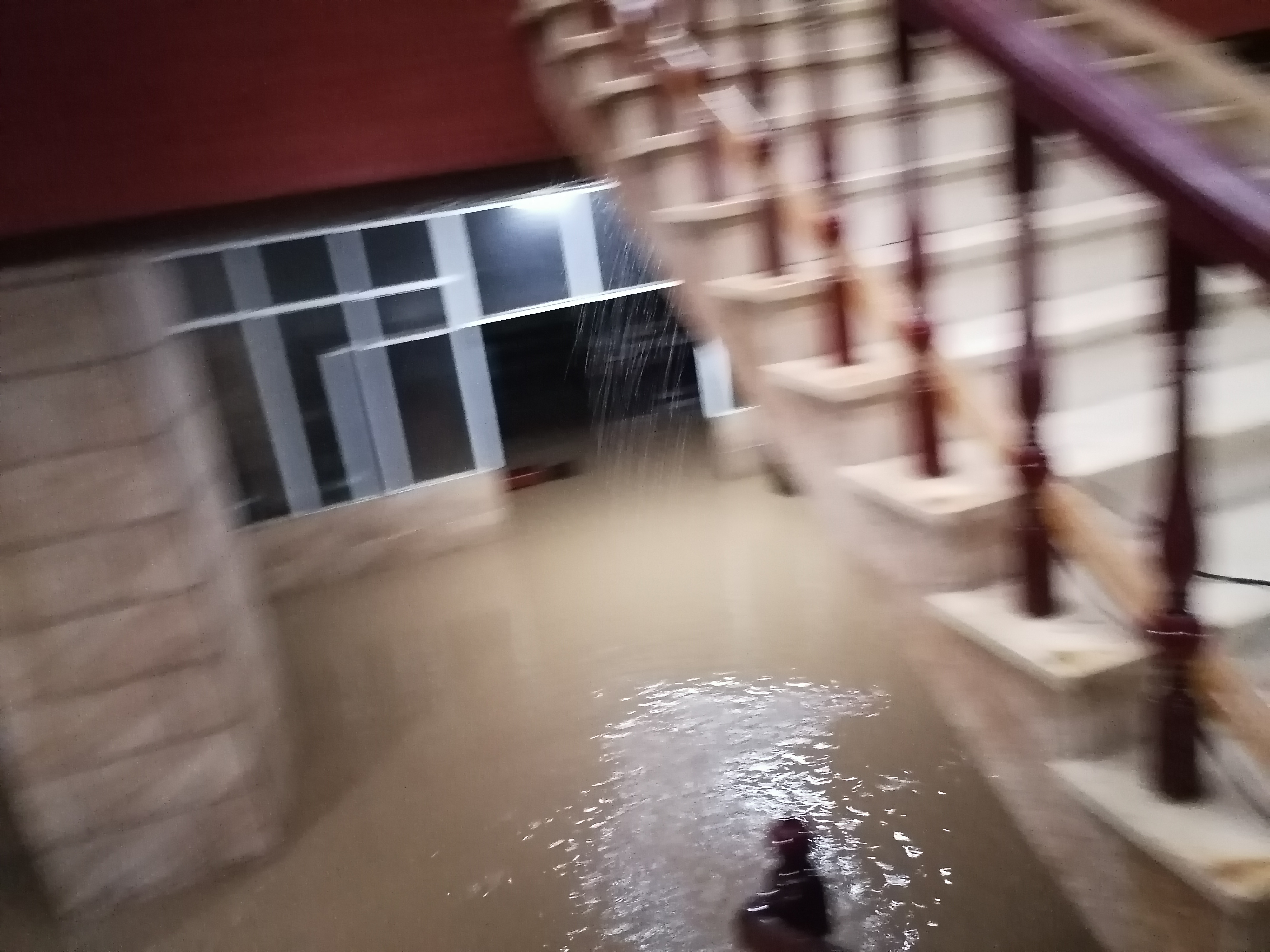 加固圩堤疏通水渠 独山镇农户补救被淹作物