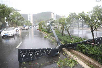 “黑格比”北上 沪苏鲁局地大暴雨