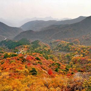 到此一游 搜索 北京最美秋天 去看灿烂红叶与浩瀚芦苇荡