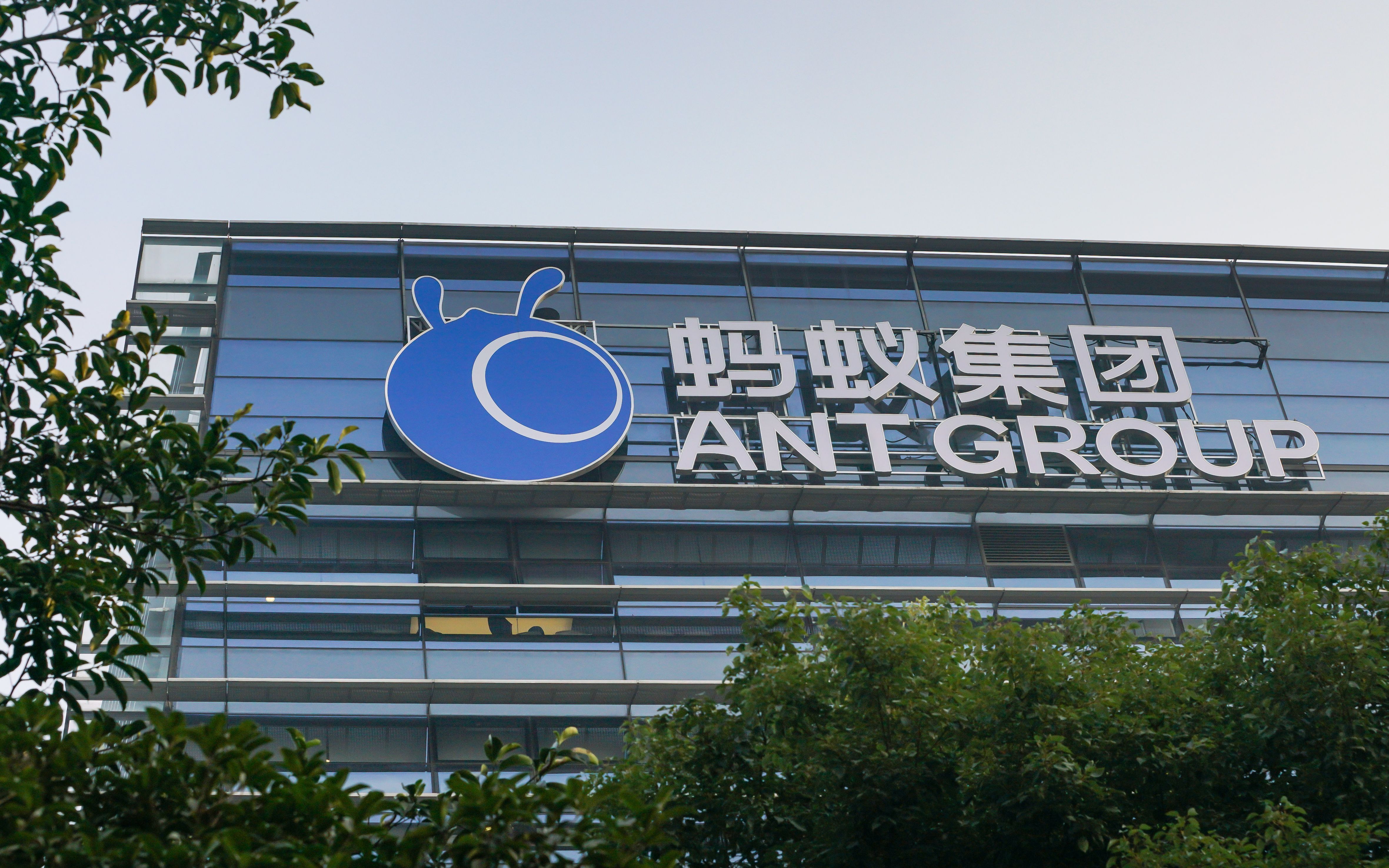 蚂蚁集团:以整改为革新契机,更加坚定服务小微