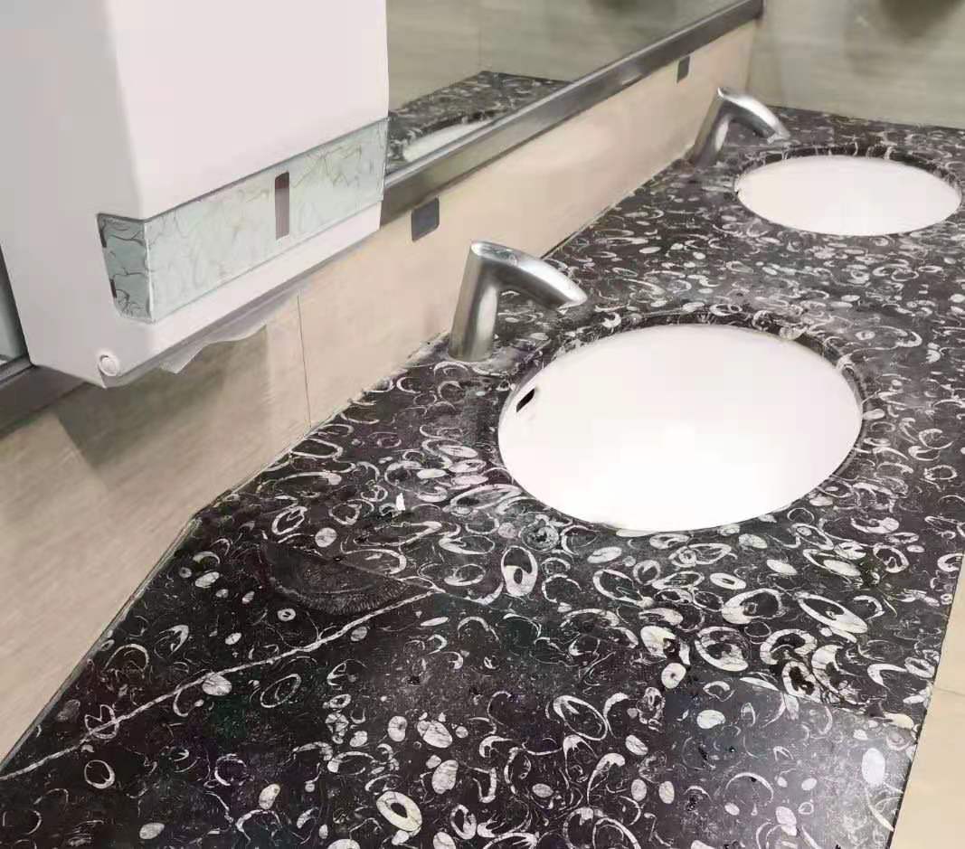 贵阳机场厕所石材上有几亿年前化石 专家 为五房贝目 较常见