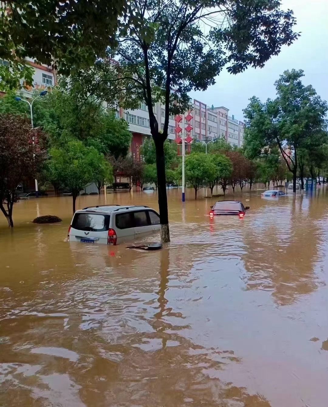 陕西勉县暴雨图片