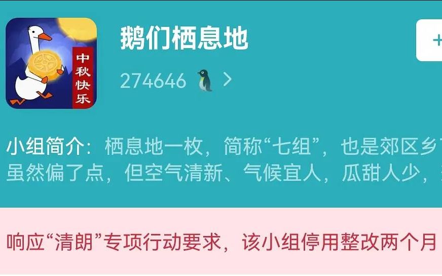 人才交流基地""影视综艺双一流"被不限期停用整改,"鹅们栖息地""豆瓣