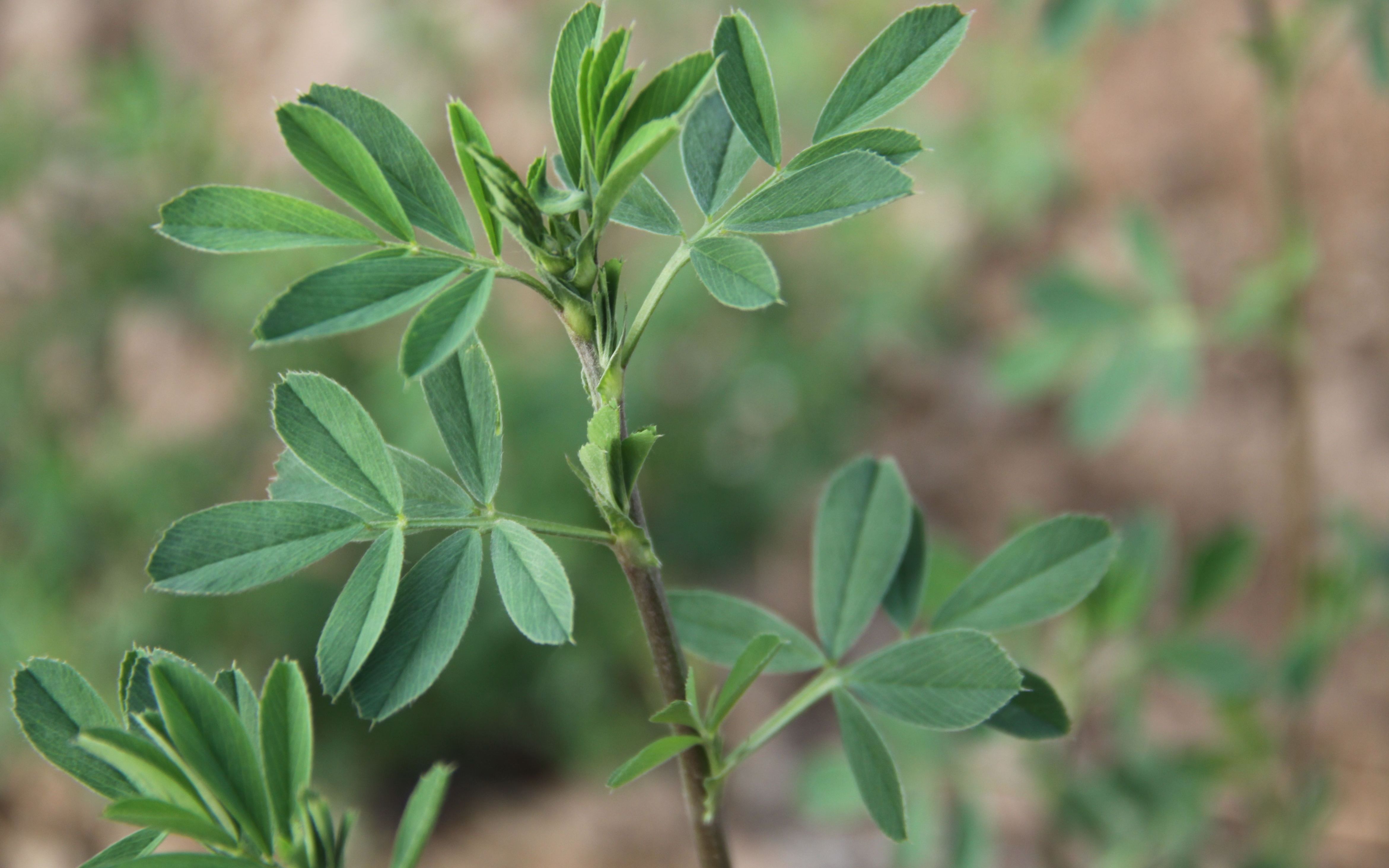 新京报 - 好新闻,无止境