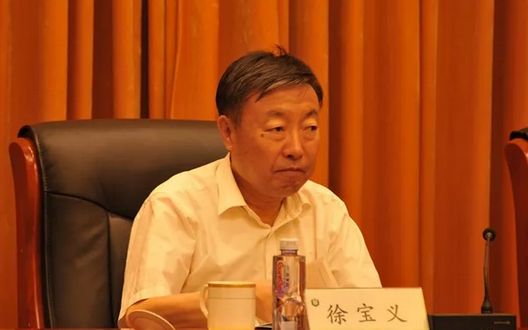 中国储备粮管理集团有限公司原副总经理徐宝义，被查