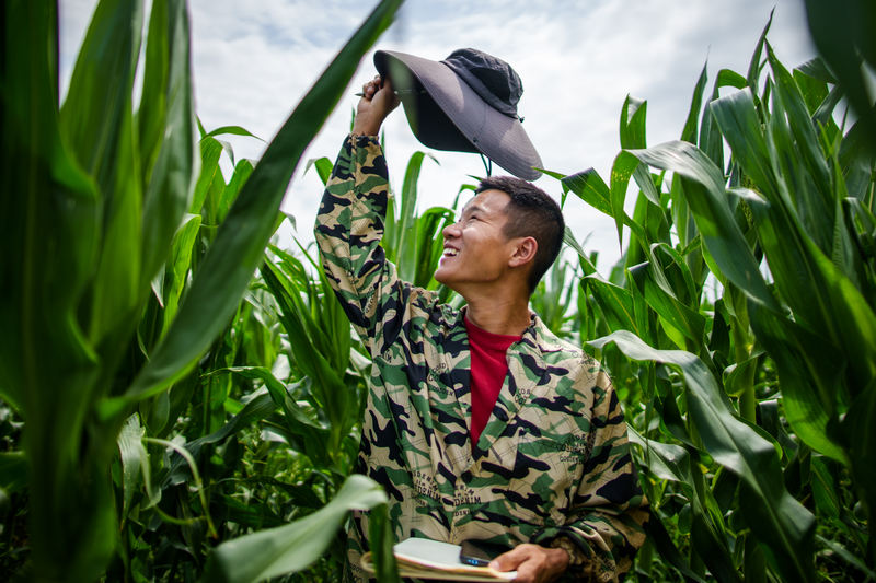在北京，成为一位农人丨田间地头，有苦有乐 — 新京报