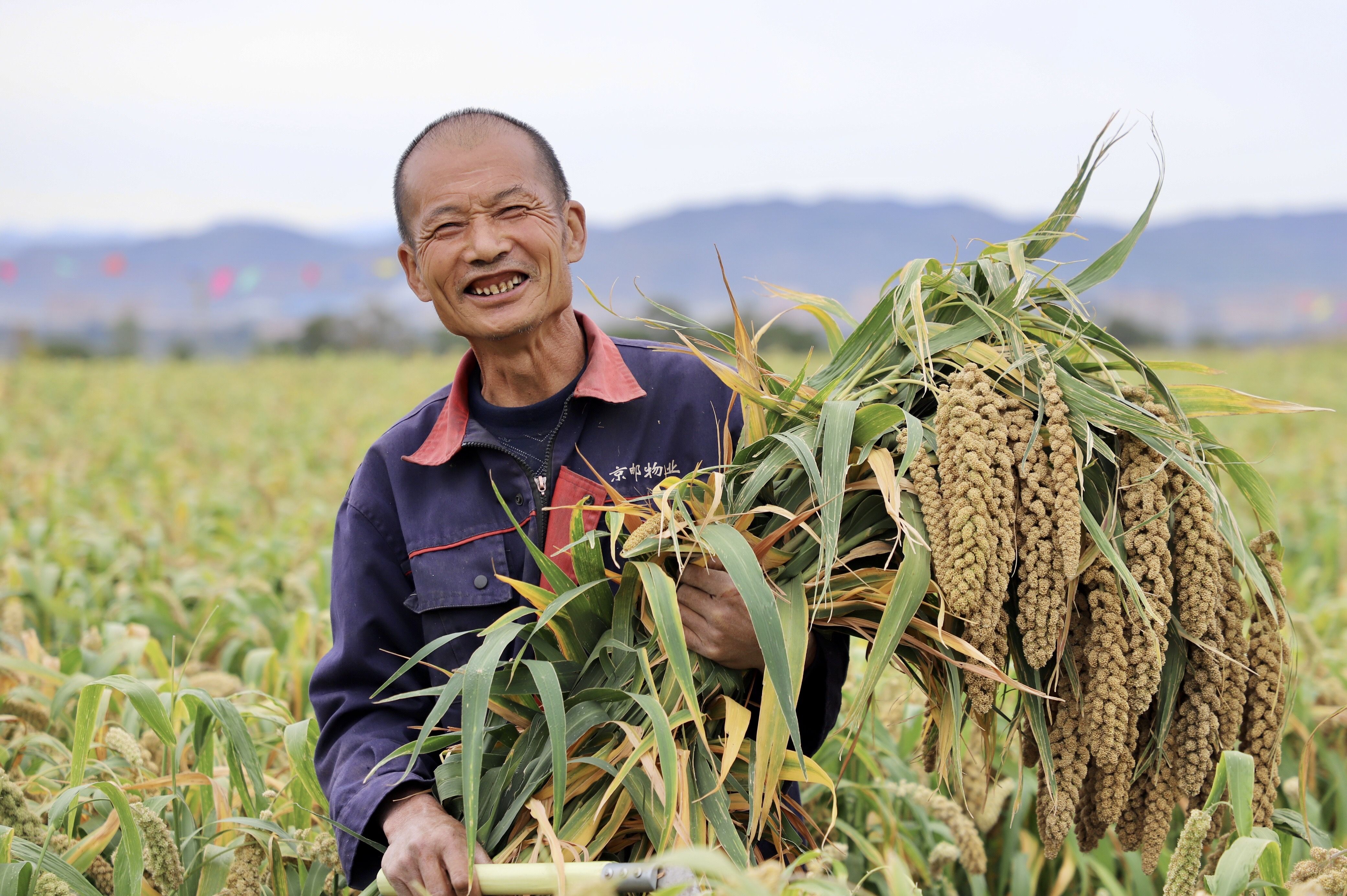 新京报 - 好新闻,无止境