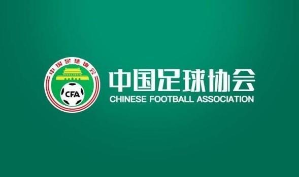 中国足协：聘任扬科维奇为中国国家男子足球队主教练