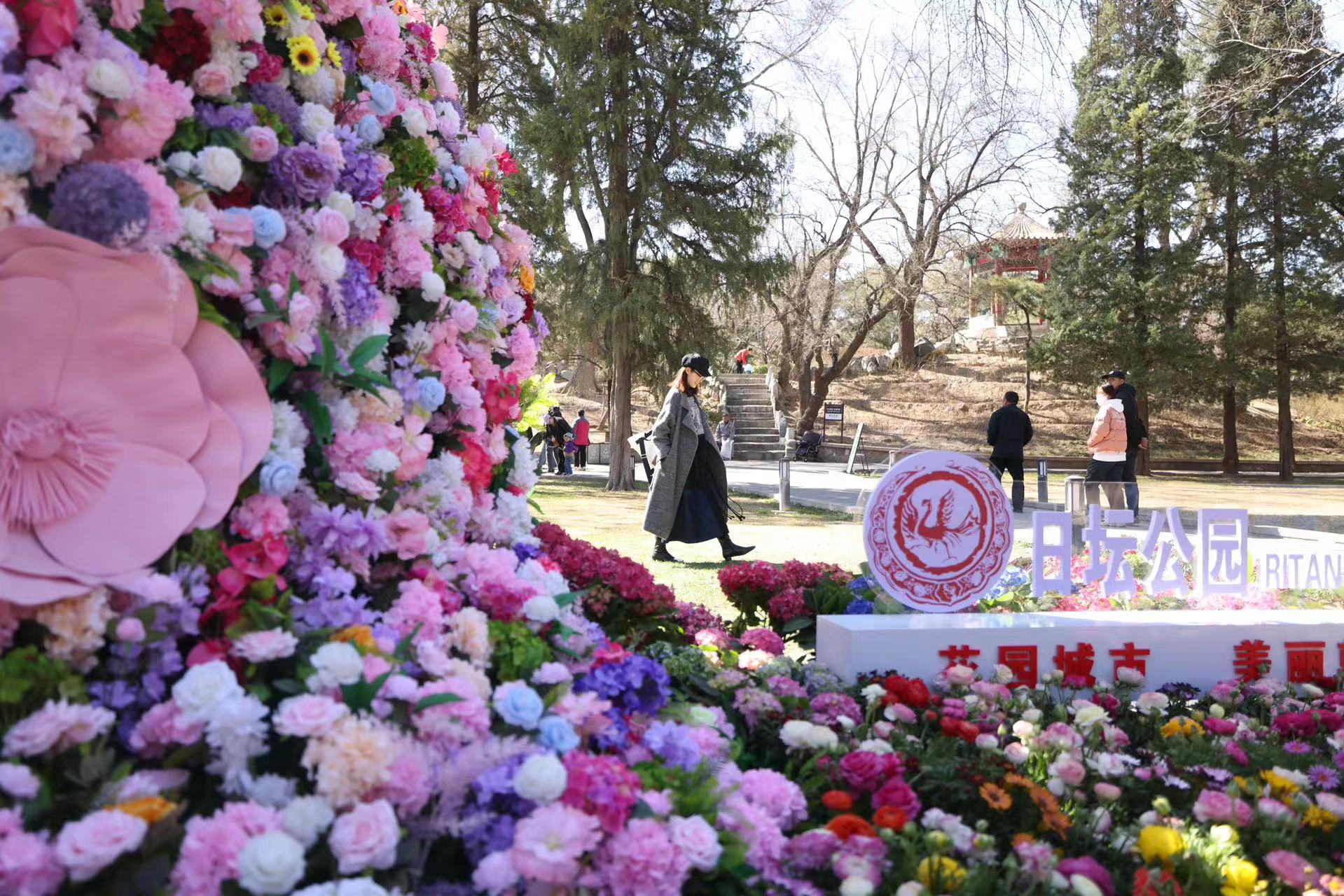 半岛·体育(中国)官方网站“一园一花一品”“一路一花一叶”朝阳区打造花园城市示范(图2)