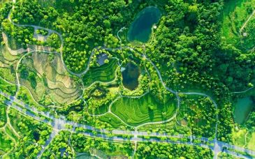 重庆两个生态修复项目入选联合国“生态恢复十年”优秀案例