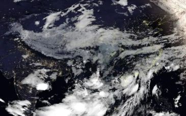 台风“马力斯”已于广东阳江登陆 成为今年初台