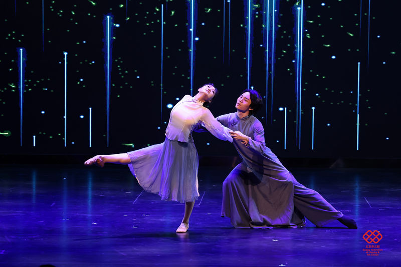 北京市文联举行留念杨沫生日110周年系枚行动 — 新京报